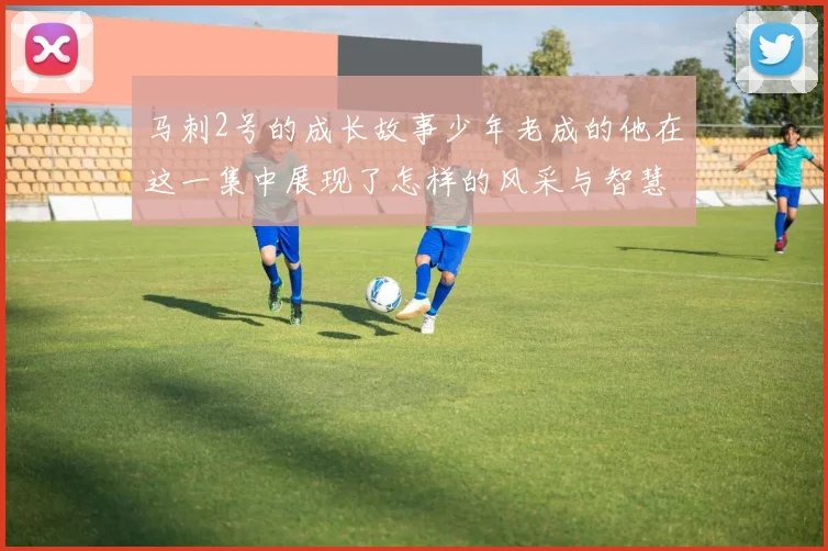 马刺2号的成长故事少年老成的他在这一集中展现了怎样的风采与智慧