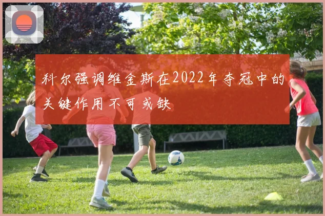 科尔强调维金斯在2022年夺冠中的关键作用不可或缺